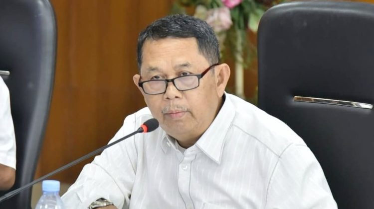 Ketua Pansus RPJMD DPRD Medan, Henry Jhon Hutagalung. (Foto Ist)