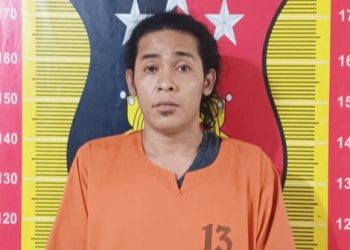 Pelaku penikaman. (Foto Ist)