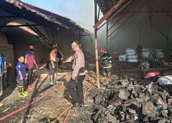 Gudang Produksi Arang di Bombongan Dilalap Sijago Merah
