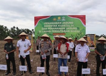 Wakapolrestabes Medan, AKBP Rudy Silaen dan sejumlah OPD melaksanakan penanaman jagung serentak kuartal III tahun 2025 di Dusun 17, Sempat Arih, Sei. Semayang, Medan Sunggal. (Foto Ist)