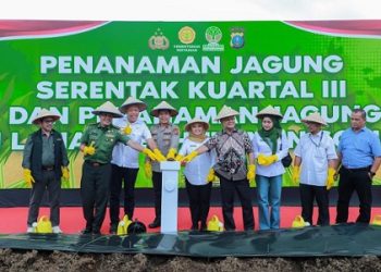 Kapolda Sumut Irjen. Pol. Whisnu Hermawan Februanto saat laksanakan penanaman jagung serentak Kuartal III sebagai bentuk nyata mendukung Asta Cita Swasembada Pangan 2025. (Foto Ist)