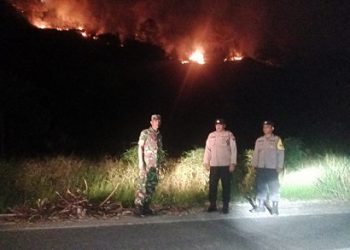 Perbukitan Sihorbo yang terletak di Kelurahan Haranggoal, Haranggaol Horisan, Kabupaten Simalungun terbakar