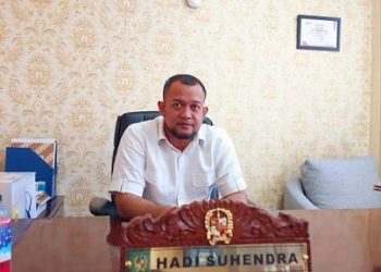 Wakil Ketua DPRD Kota Medan, Hadi Suhendra. (Foto Ist)