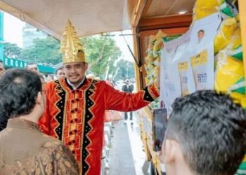 Gubsu Bobby Nasution