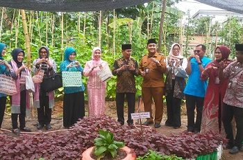Tim Penilaian Hati PKK Pemprovsu Tinjau dan Monitoring PKK Lingkungan III Kelurahan Pahang