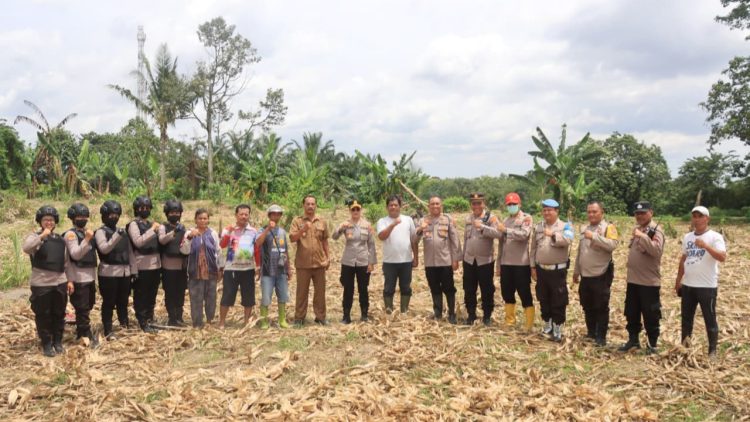 Kapolres Pematangsiantar AKBP Sah Udur T.M Sitinjak S.H. S.I.K. M.H melaksanakan Pengecekan Lahan Jagung di Kelurahan Tong Marimbun