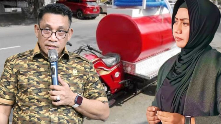 Ketua Pansus Edwin Sugesti Nasution - Wakil Ketua Pansus Lailatul Badri. (Foto Ist)