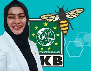 Wakil Ketua Pansus P2K DPRD Kota Medan, Lailatul Badri. (Foto Ist)