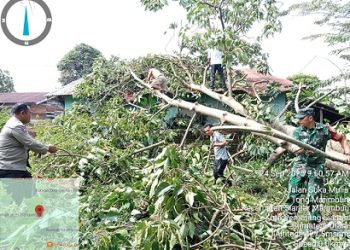 habinkamtibmas Kelurahan Tong Marimbun AIPTU Isdianto ikut serta melaksanakan kegiatan gotong royong membersihkan material rumah warga tertimpa pohon tumbang di Jl. Suka Mulia