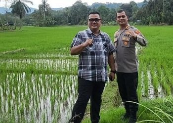 Foto Topan Obaja Putra Ginting (TOP) dan eks Kapolres Tapsel AKBP Yasir Ahmadi yang ditampilkan dalam persidangan di ruang Cakra 8, Pengadilan Tipikor pada PN Medan. (Foto Ist)