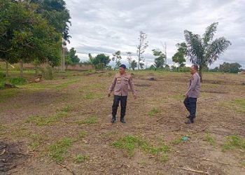 Kapolsek Siantar Marihat AKP Doni Simanjuntak SH dampingi Kabag SDM Polres Pematangsiantar  AKP Maralidang Harahap SH melakukan pengecekan lahan penanaman jagung di Jalan Melanthon Siregar Gang Kuku Balam