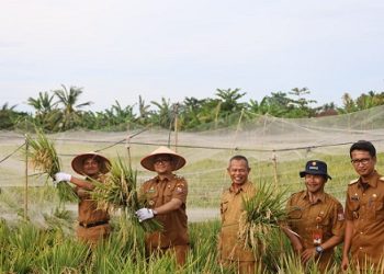 Kepala Kejati Sumut, Dr Harli Siregar SH MHum saat temu media menunjukan uang penganti dari Adelin Lis. (Foto Ist)
