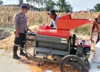 Bhabinkamtibmas Kelurahan Marihat Jaya Aipda Erick F Marbun sambangi perladangan jagung warga Bapak Dapot Oppusunggu