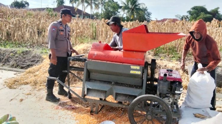 Bhabinkamtibmas Kelurahan Marihat Jaya Aipda Erick F Marbun sambangi perladangan jagung warga Bapak Dapot Oppusunggu