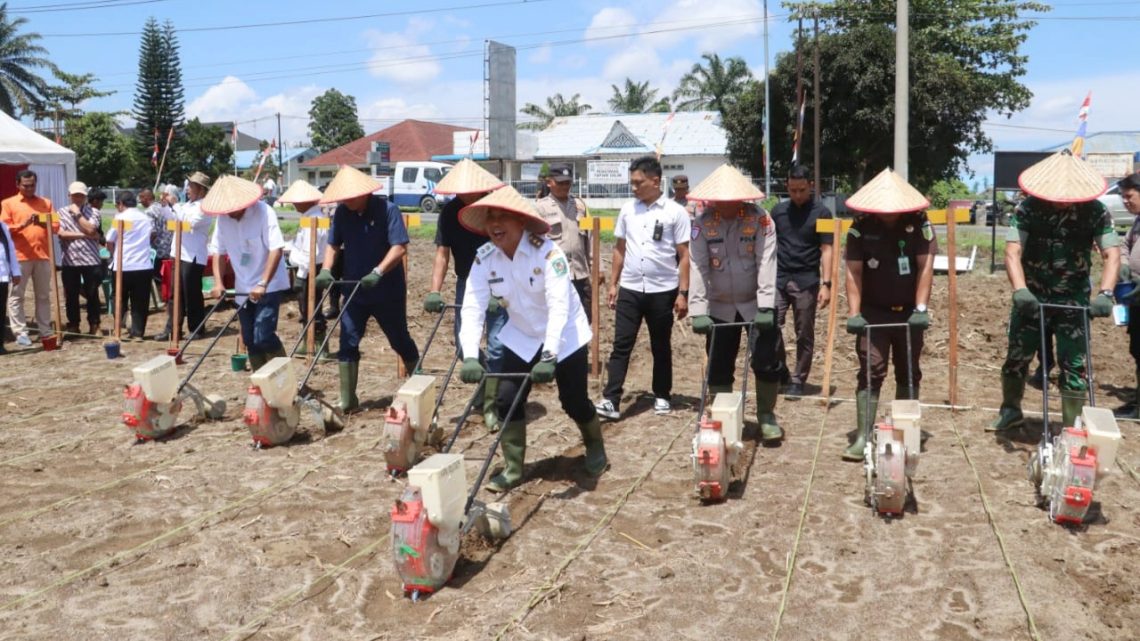 Kapolres Simalungun AKBP Marganda Aritonang, S.H. S.I.K. M.M bersama jajaran Forkopimda Kabupaten Simalungun mengikuti kegiatan penanaman jagung serentak Kuartal IV Tahun 2025