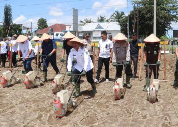 Kapolres Simalungun AKBP Marganda Aritonang, S.H. S.I.K. M.M bersama jajaran Forkopimda Kabupaten Simalungun mengikuti kegiatan penanaman jagung serentak Kuartal IV Tahun 2025