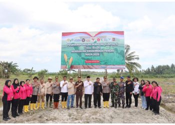 Danki) 3 Yon B Satuan Brimob Polda Sumut mengikuti kegiatan Penanaman Jagung Serentak Kuartal IV