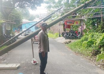Bhabinkamtibmas Kelurahan Bantan Aiptu Rayendra P. Damanik pengecekan pohon bambu dan tiang listrik tumbang di Jalan Singosari