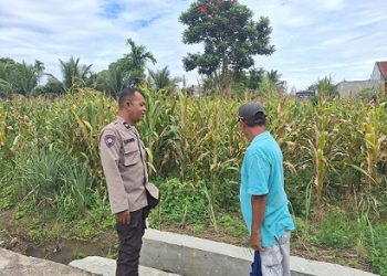 Bhabinkamtibmas Kelurahan Nagahuta Timur AIPTU F. Munthe sambangi warga Pak Aritonang sedang bersihkan lahan tanaman jagung