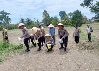 Kapolres Pematangsianțar AKBP Sah Udur T.M. Sitinjak SH. SIK. MH bersama Para Pejabat Utama penanaman jagung