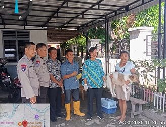 Kanit Binmas IPDA Bernard Sitorus dan Bhabinkamtibmas Kelurahan Kebun Sayur Bripka Manoa Sitanggang melaksanakan pendampingan vaksin rabies hewan peliharaan milik warga binaan di Jalan Sawi