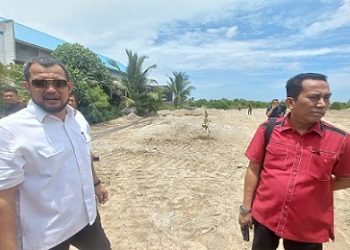 Wakil Ketua DPRD Medan H Hadi Suhendra didampingi Ketua Komisi 4 DPRD Medan Paul Mei Anton Simanjuntak anggota Komisi Lailatul Badri, dan Ahmad Affandi saat tinjau penimbunan hutan mangrove (bakau) di Jl Pulau Sicanang, Kelurahan Sicanang, Kecamatan Medan Belawan. (Foto Romulo)
