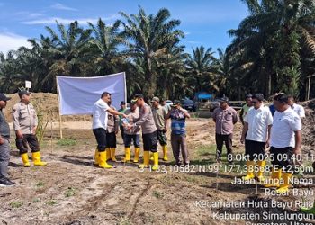 Kapolsek Tanah Jawa Kompol Asmon Bufitra S.H. M.H bersama jajaran personilnya melaksanakan penanaman bibit jagung di lahan PTPN IV Kebun Dolok Sinumbah