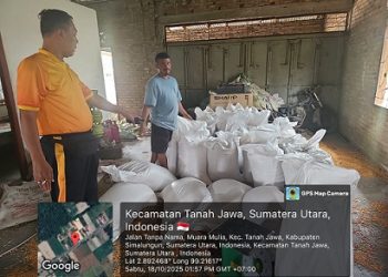 Kapolsek Tanah Jawa Kompol Asmon Bufitra SH., MH penyerapan hasil panen jagung Poktan Anggrek sebanyak 5 ton untuk diserahkan ke Bulog