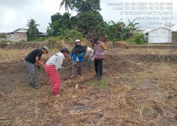 Bhabinkamtibmas Kelurahan Sumber Jaya AIPTU Ramses M. Tambungn sambangi masyarakat Bapak Harapan Silalahi sedang tanam jagung