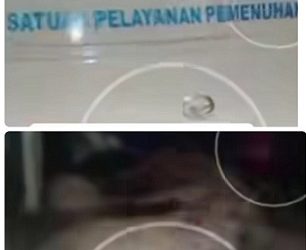 Mobil SPPG di Nisel angkut babi. (Foto Ist)