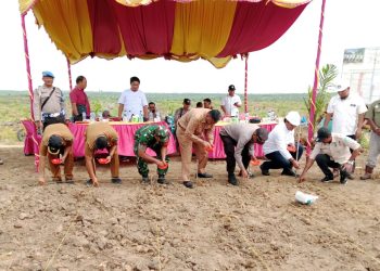 Polsek Bosar Maligas Monitoring Tanam Perdana Jagung di PTPN IV