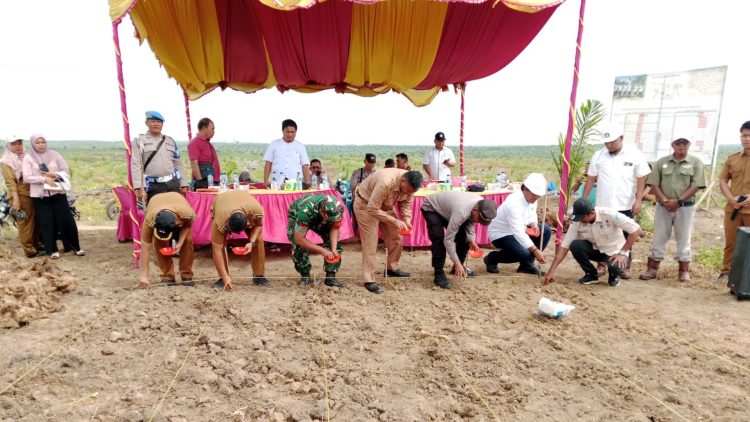 Polsek Bosar Maligas Monitoring Tanam Perdana Jagung di PTPN IV