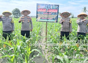 Kapolsek STR, IPTU Hendra A. Karo-Karo, SH. MH, memimpin langsung kegiatan pengecekan lahan jagung