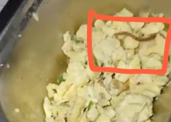 Menu MBG di SMAN) 6 Medan di Jalan Ansari, Sei Rengas I, Kecamatan Medan Area yang heboh ditemukan adanya cacing. (Foto Ist)