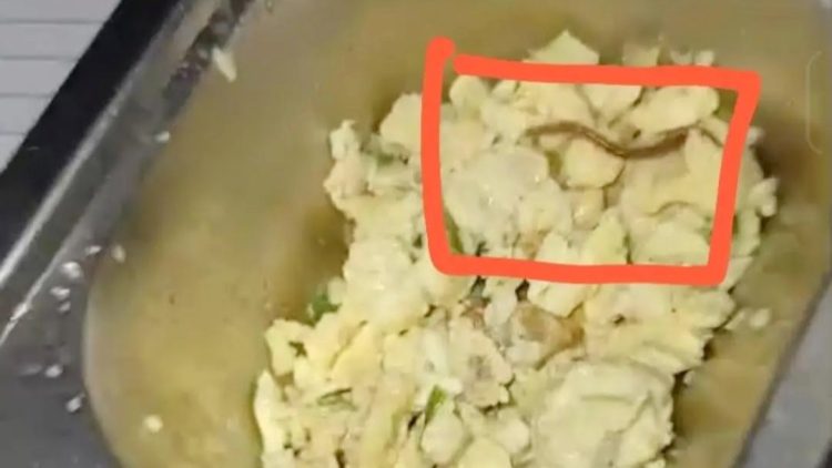 Menu MBG di SMAN) 6 Medan di Jalan Ansari, Sei Rengas I, Kecamatan Medan Area yang heboh ditemukan adanya cacing. (Foto Ist)