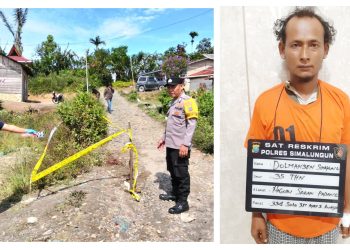 TKP pembunuhan dan pelaku Dolmansen Sipayung yang sudah ditangkap