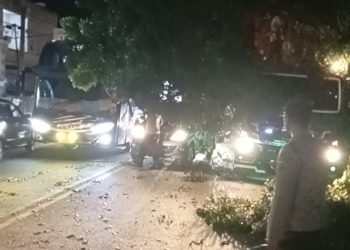 Personil piket Polsek Siantar Martoba cek TKP pohon tersangkut pada bak gandengan truk kontainer