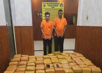 Dua kurir asal Aceh yang membawa 255 Kg kering yang ditangkap tim Polda Sumut. (Foto Ist)