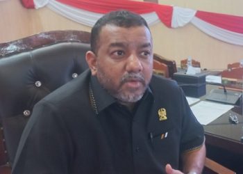 Anggota DPRD Medan Rommy Van Boy. (Foto Ist)