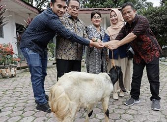 Wali Kota Pematangsiantar Wesly Silalahi SH MKn bersama Ketua TP PKK Ny Liswati Wesly Silalahi menyerahkan bantuan berupa kambing kepada pemenang Lomba HKG PKK Tingkat Provinsi Sumut Tahun 2025
