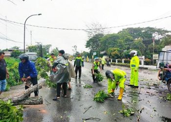 Polres Tanjungbalai Gerak Cepat Bantu Evakuasi Pohon Tumbang di Jalan Sudirman