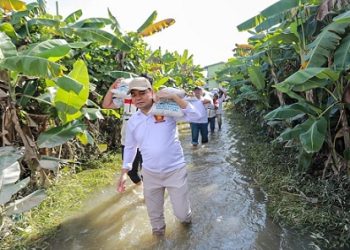 Wakil Ketua DPRD SU, Ihwan Ritonga yang juga Ketua DPC Partai Gerindra Medan saat menyalurkan bantuan logistik sembako di Medan Labuhan. (Foto Ist)