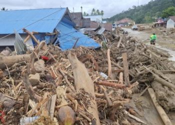 Gelondongan kayu menumpuk di Desa Garoga, Kecamatan Batang Toru, Tapsel saat bencana banjir dan longsor. (Foto Ist)