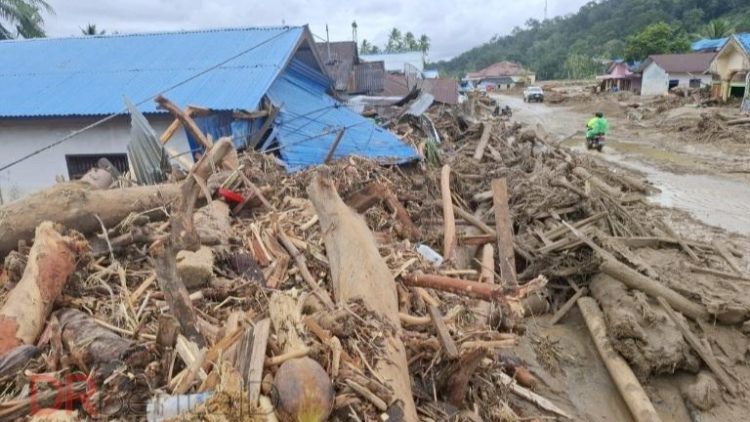 Gelondongan kayu menumpuk di Desa Garoga, Kecamatan Batang Toru, Tapsel saat bencana banjir dan longsor. (Foto Ist)