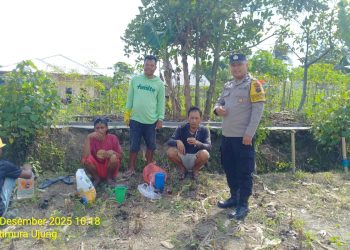 Bhabinkamtibmas Kelurahan Parhorasan Nauli Bripka P. Butar Butar laksanakan monitoring ladang jagung milik warga di Jl. Pattimura Ujung