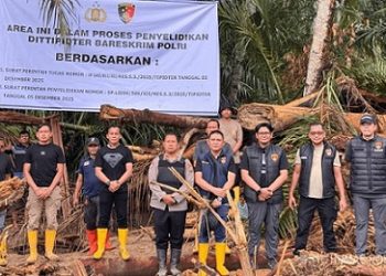 Tim Bareskrim mengambil 27 sampel kayu di sepanjang DAS Garoga, Batang Toru, Tapsel untuk mengusut kayu gelondongan kayu yang terbawa banjir besar di Sumatera. (Foto Ist)