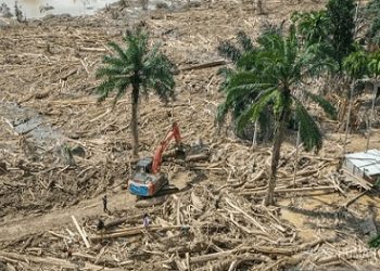 Tumpukan kayu di Daerah Aliran Sungai (DAS) Garoga. (Foto Ist)