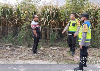 Bhabinkamtibmas Polsek Siantar Martoba Sambangi Petani Jagung Binaan di Tojai Baru
