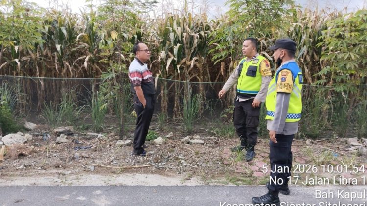 Bhabinkamtibmas Polsek Siantar Martoba Sambangi Petani Jagung Binaan di Tojai Baru