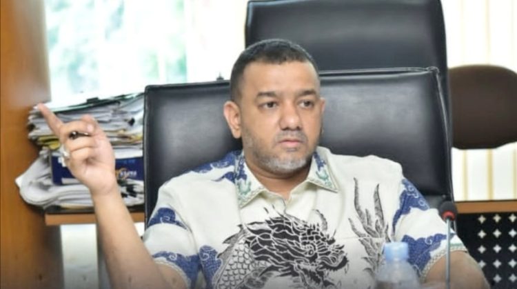 Anggota Komisi 4 DPRD Medan Rommy Van Boy. (Foto Ist)